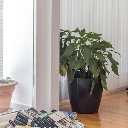 Theatrum Cozy * Split