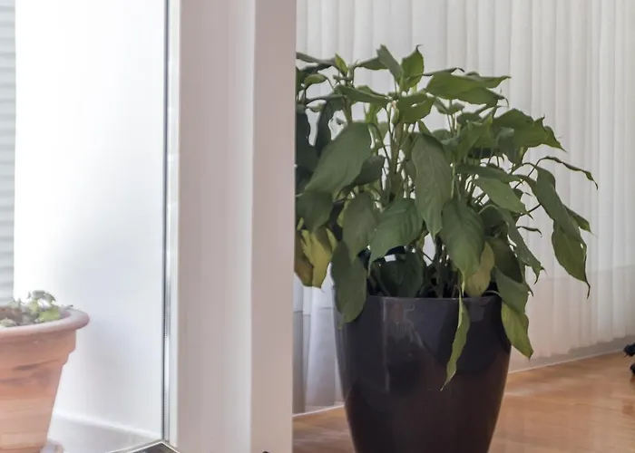 Theatrum Cozy * Сплит